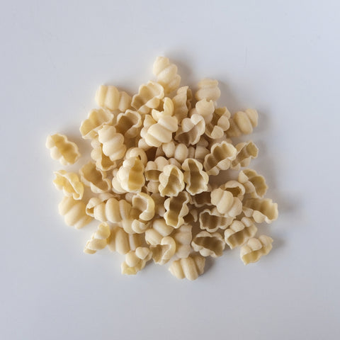 Clam Shells