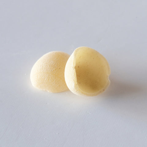 Orecchiette (Limited Drop)