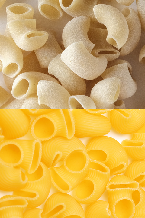 Industrial flash-dried pasta vs small-batch slow-dried bronze-cut pasta showing starch and texture differences - DSM Pasta Co.