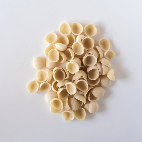 Orecchiette (Limited Drop)